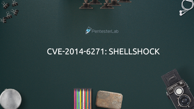 image for CVE-2014-6271/Shellshock 